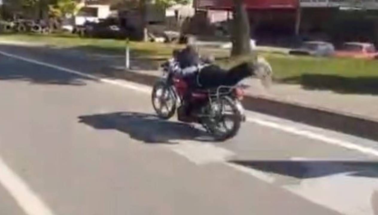 akrobatik hareketler pahaliya patladi 42 bin tl ceza wpvBl4iL