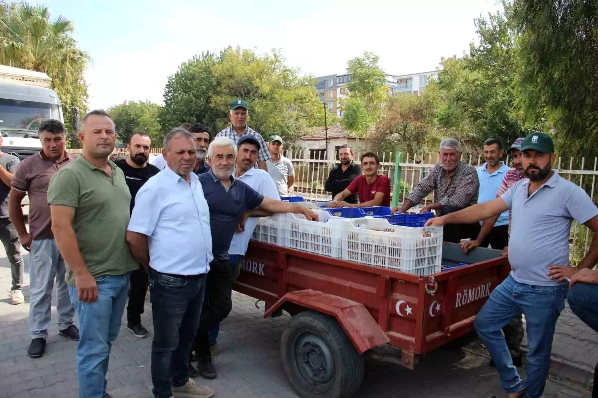 incir alimlari tuccar sorunu nedeniyle durduruldu N6wII8UJ