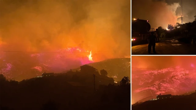 orman yangininda alevlere mahalleye sicradi evler ve seralar alevlerin arasinda kaldi v1VyeJ1y