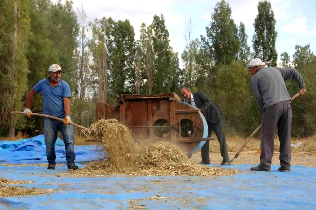 geleneksel yontemlerle ata tohumu fasulye uretimi kgzv4fP8