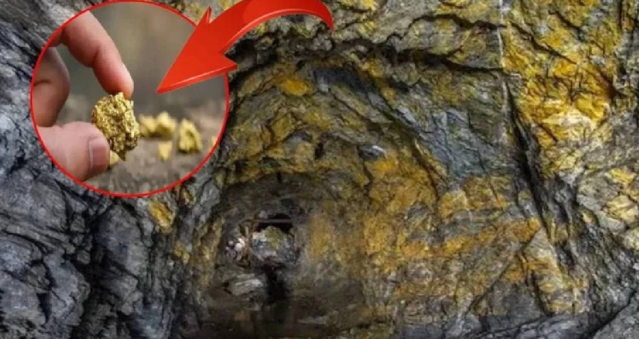 dunyanin en derin 10 altin madeni yerin altina iniyorlar kulce kulce altin cikariyorlar XSvEYzxj.jpg