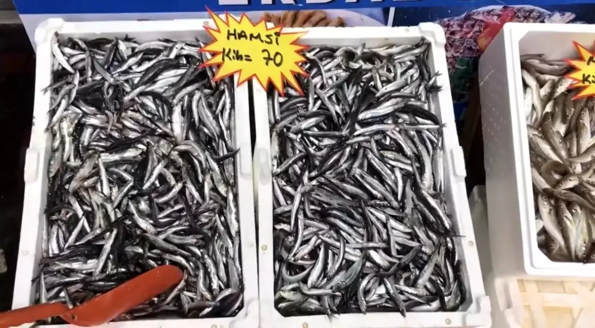 taze balik tuketin uyarisi 2cq7zWN2.jpg