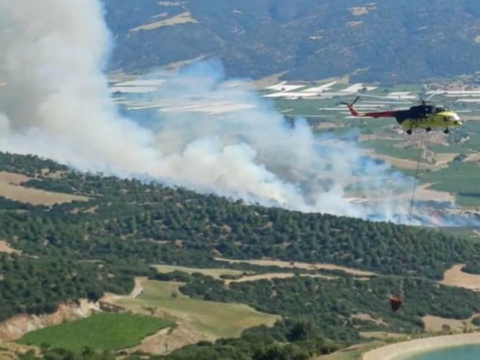 Manisa ve mugladaki orman yanginlari kontrol altinda kNaqpUGc